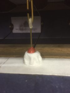 pulpeet
