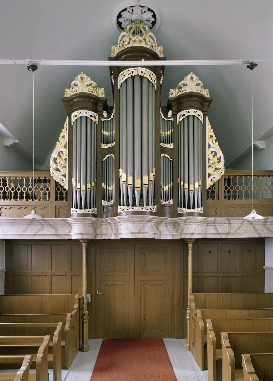 Baard-orgel-RCE-534956