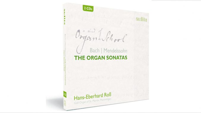 a kind of organ school
