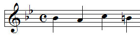 Liszt BACH Notenvoorbeeld 2