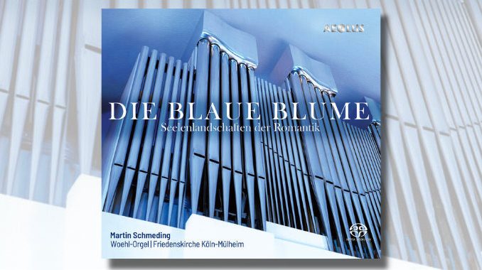 martin schmding die blaue blume